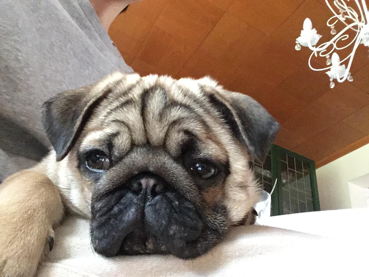 Lili